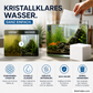 🌊 Kristallklares Aquarium ohne Aufwand – so einfach ist das! 😱