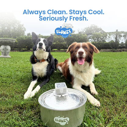 Automatic water sensor pet drinking machine for cats and dogs. Continuous circulating fresh water intelligent drinking machine.