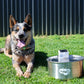 Automatic water sensor pet drinking machine for cats and dogs. Continuous circulating fresh water intelligent drinking machine.