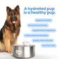 Automatic water sensor pet drinking machine for cats and dogs. Continuous circulating fresh water intelligent drinking machine.