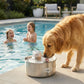 Automatic water sensor pet drinking machine for cats and dogs. Continuous circulating fresh water intelligent drinking machine.