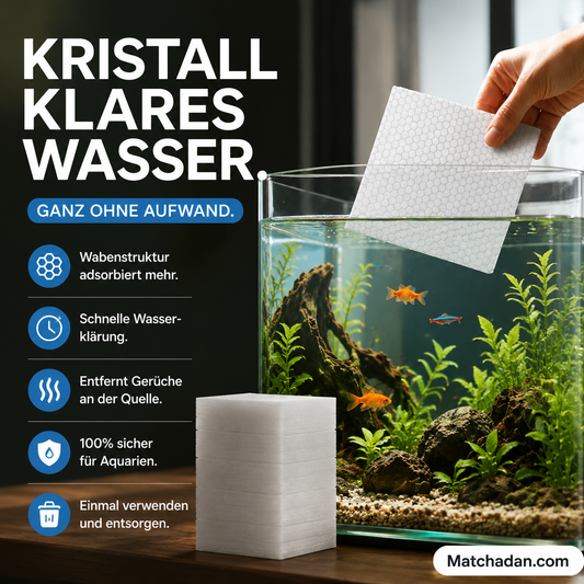 🌊 Kristallklares Aquarium ohne Aufwand – so einfach ist das! 😱