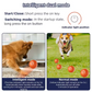 🔥 -50% Heute 🐶🎾 Intelligenter Interaktiver Hüpfball für Haustiere