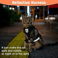 Adjustable Reflective Breathable Pet Vest Harness and Leash Set