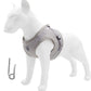 Adjustable Reflective Breathable Pet Vest Harness and Leash Set