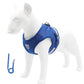 Adjustable Reflective Breathable Pet Vest Harness and Leash Set