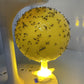🚫🪰🦟Klebefalle Fruchtfliegen-Fangball mit Ständer LED- Ungiftig & Wiederverwendbar | Küche, Büro, Innenbereich
