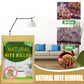 🔥 PROMO-BLITZ! 🔥 Natur-Säckchen gegen Milben
