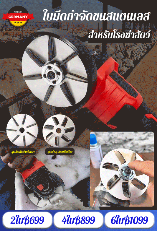 Arbeitssparende Schweinehaarentferner-Schaberscheibe