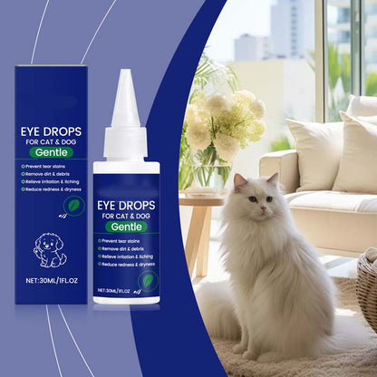 Augentropfen für Hunde & Katzen 🐶🐱💧