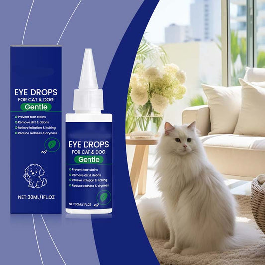 Augentropfen für Hunde & Katzen 🐶🐱💧