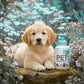 Wasserloses Reinigungsshampoo für Hunde und Katzen