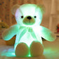 🎄❤️Weihnachtsangebot: 60% Rabatt 🧸Teddybär, buntes LED-Licht, Stofftiere