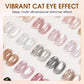 3-in-1 langanhaltender magnetischer Cat-Eye-Gel-Nagellack