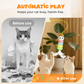 🐈Automatisches, einziehbares Katzenspielzeug💡