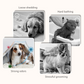✨🛁Pflegehandschuhtücher für Hunde und Katzen – 6 Stück/Packung