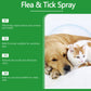 💥 MEGA DEAL: KAUF 2, ERHALTE 1 GRATIS 🎁 Natürlicher Lopp- & Fästingspray 🐶🐱 schützt effektiv & schonend 🌿
