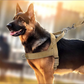 Robustes taktisches Hundegeschirr mit Griff