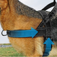 Robustes taktisches Hundegeschirr mit Griff