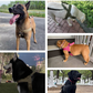 Robustes taktisches Hundegeschirr mit Griff
