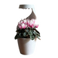 3D-gedruckte, rotierende Regen-Pflanzvase