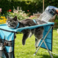 ⏳Nur für kurze Zeit: 50 % Rabatt⏰2-in-1-Klappbett für die Tierpflege🐱🐶🛋️