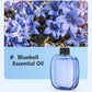 🌿Youtube Sale 30% RABATT! 💨 Aromatherapie-Diffusor – Ultraschall, Timer & Smart-Display ✨