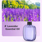 🌿Youtube Sale 30% RABATT! 💨 Aromatherapie-Diffusor – Ultraschall, Timer & Smart-Display ✨