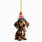 🎄【7 Stück】🐕 Christbaumschmuck in Welpenform